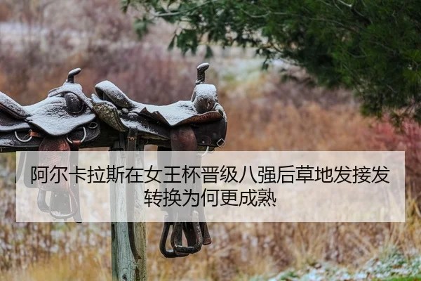 a-er-ka-la-si-zai-nv-wang-bei-jin-ji-ba-qiang-hou-cao-di-fa-jie-fa-zhuan-huan-wei-he-geng-cheng-shu-2-720.jpg